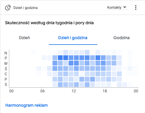 Analiza skuteczności kampanii Google Ads według dnia tygodnia i godziny