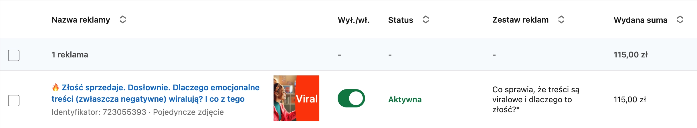 Widok reklam LinkedIn Ads w panelu z podglądem kreacji i komunikatów